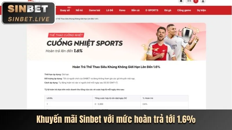 Cá cược tennis trên sân quần vợt